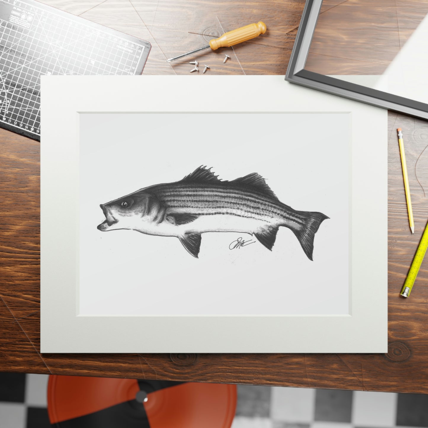 Tail-Whip Striped Bass sketch Fine Art Prints (Passepartout Paper Frame)