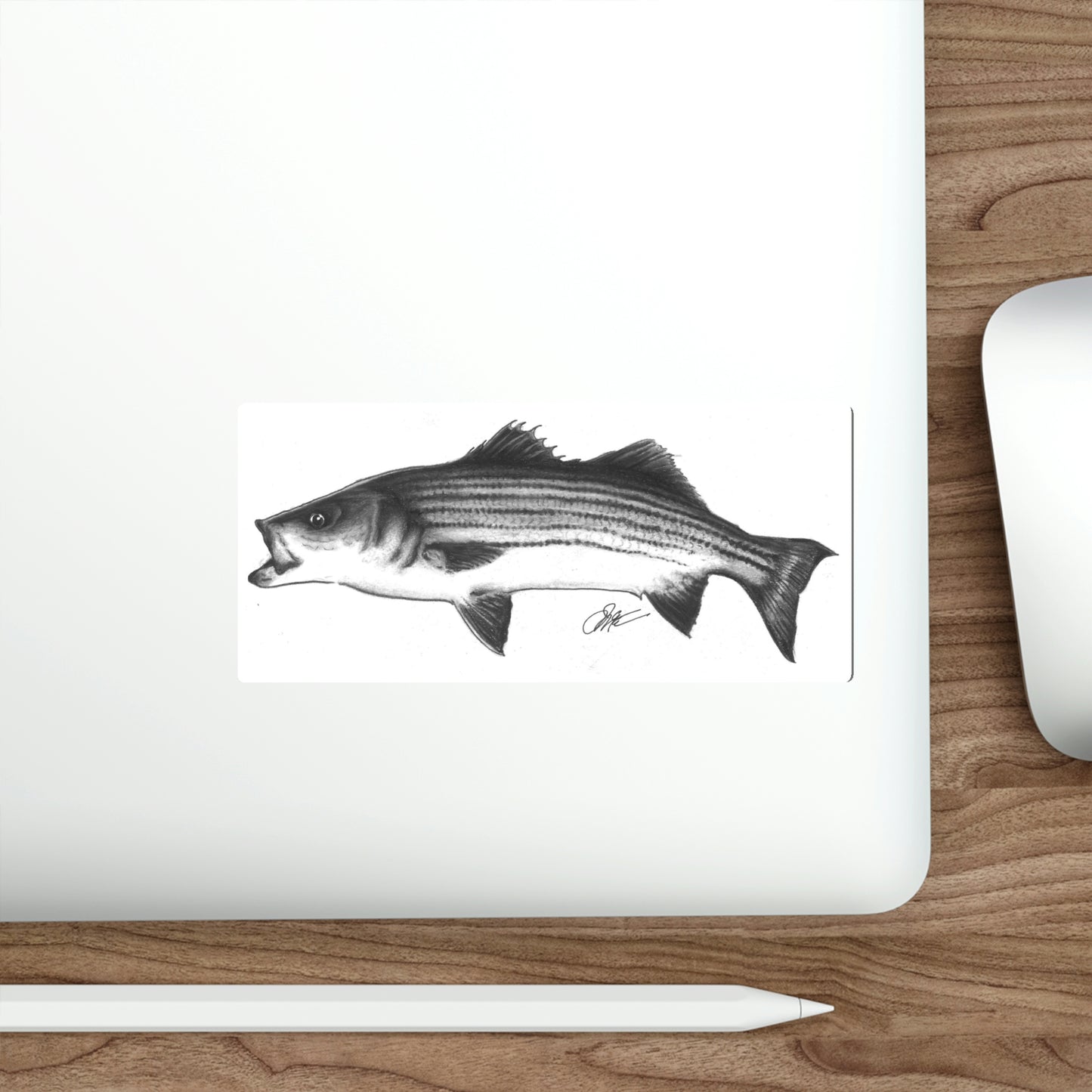 Tail-Whip Striped Bass Die-Cut Sticker