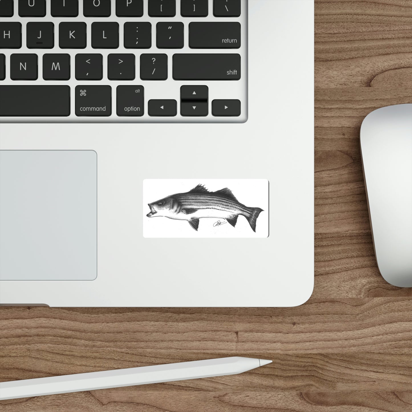 Tail-Whip Striped Bass Die-Cut Sticker