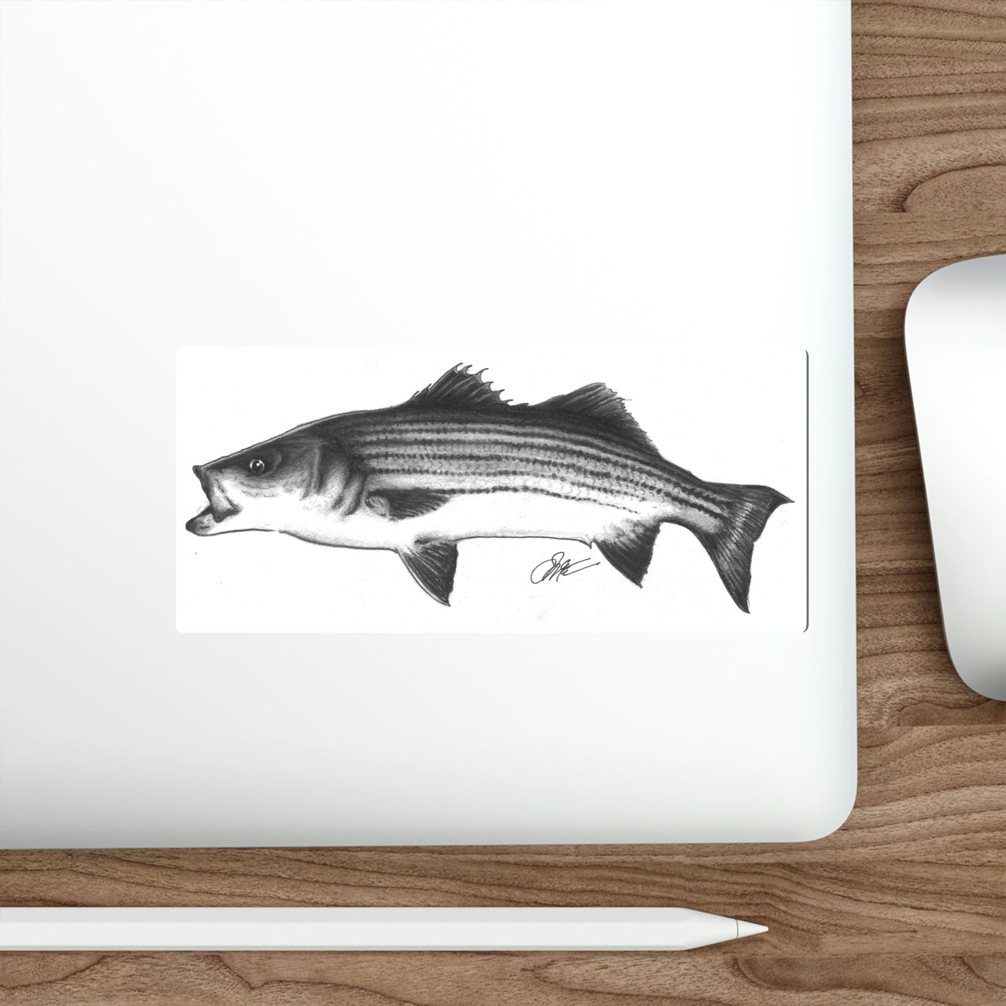 Tail-Whip Striped Bass Die-Cut Sticker