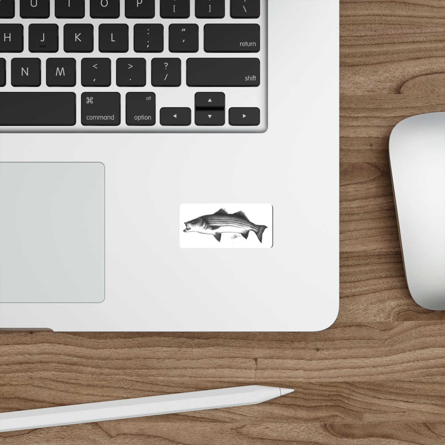 Tail-Whip Striped Bass Die-Cut Sticker