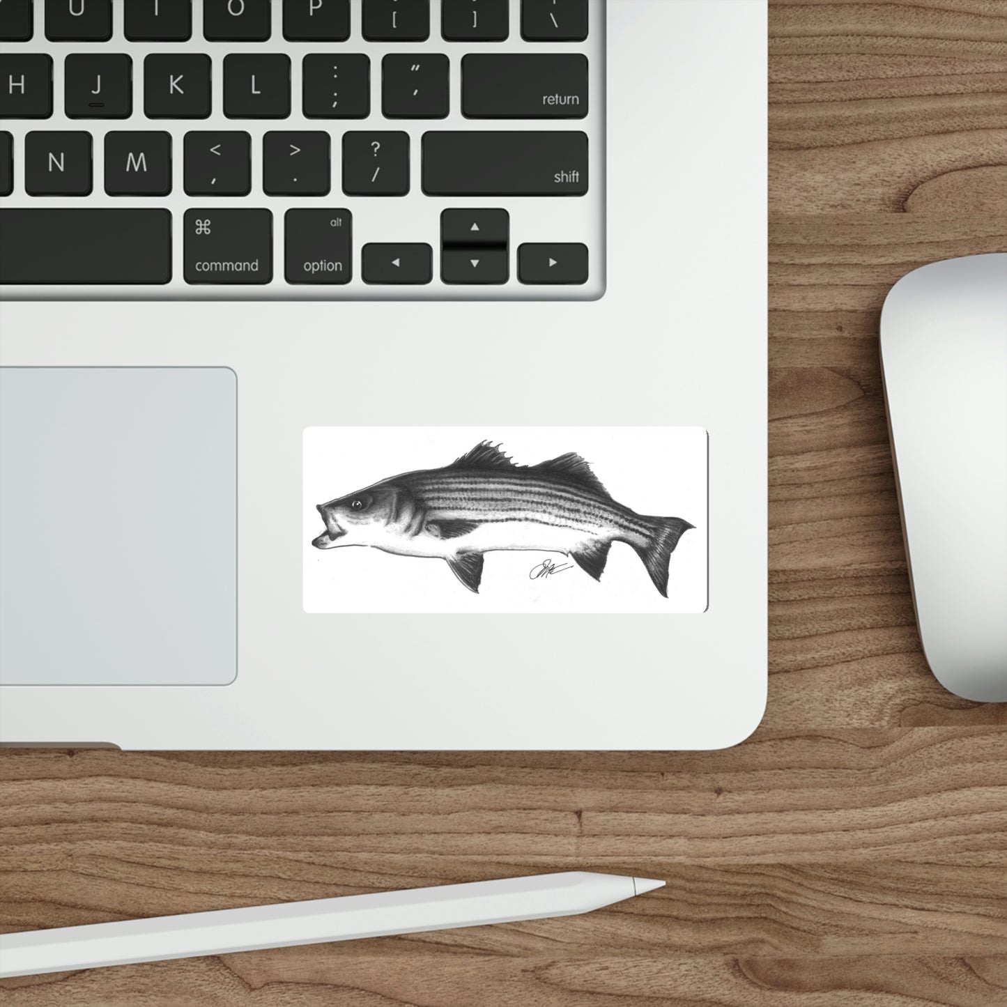 Tail-Whip Striped Bass Die-Cut Sticker